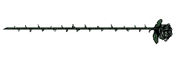 divisor fofo